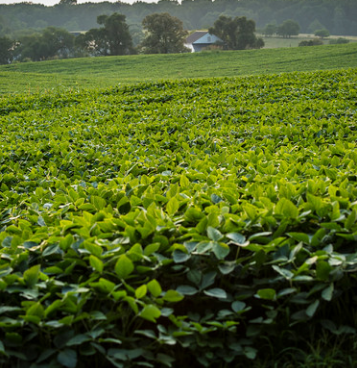 Agricultural Education