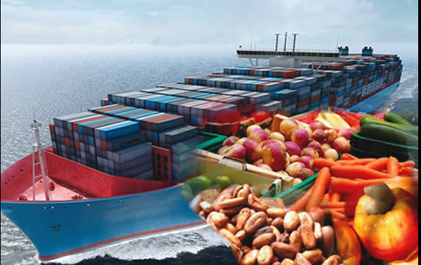Import and Export